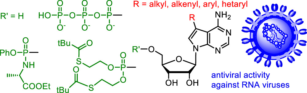 Publications Helena Mertlikova Kaiserova Group